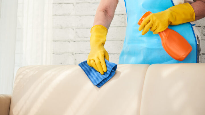 guy cleaning couch macas cleaning services cost guide